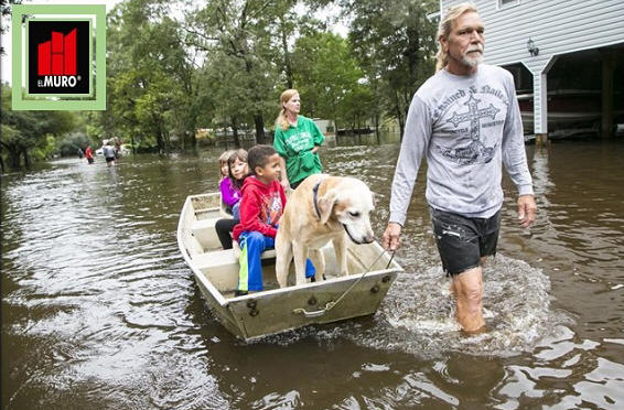 Cuidado de mascotas en las inundaciones